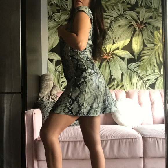 Miaou Snakeskin Button Up Bustier Dress - Picture 3 of 6